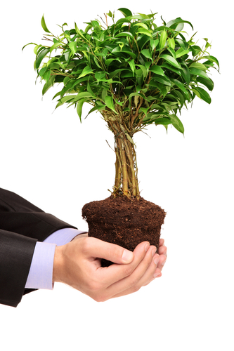 Cultivate Your Buyers for Evergreen Revenue Growth