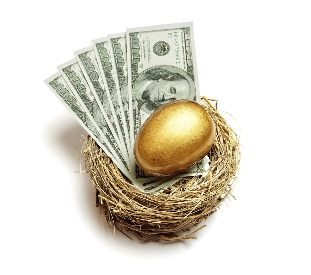 nest egg and money